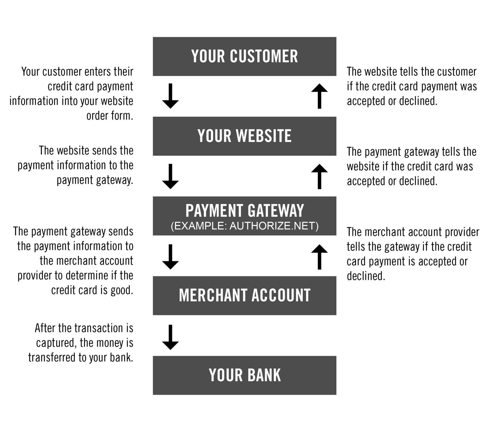 Ecommerce options for your wordpress website